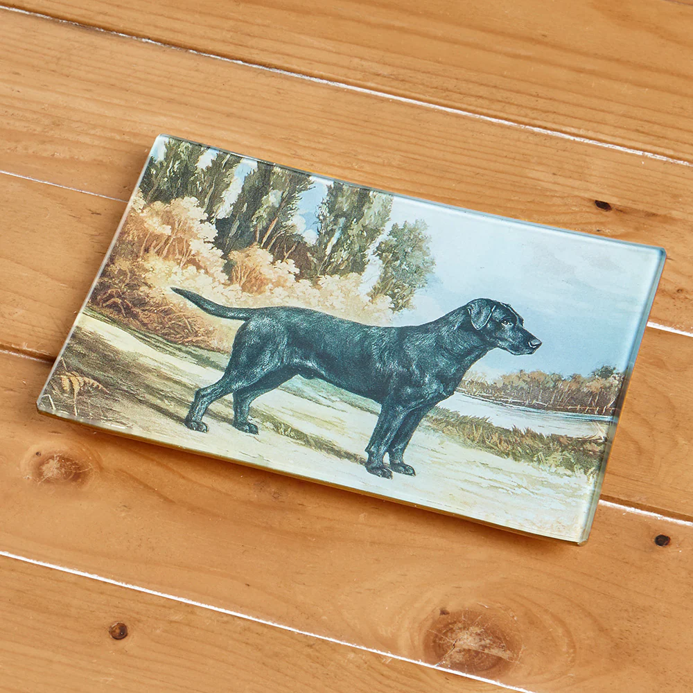 Labrador Retriever Decoupage Glass Tray