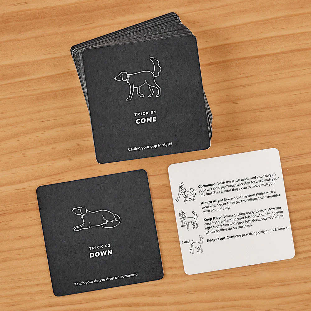 Pikkii Party Tricks for Dogs Training Cards - Image 2